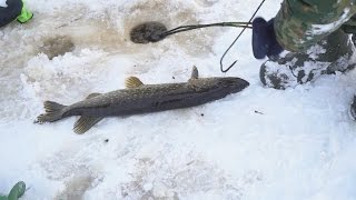 Рыбалка в лен обл зимой
