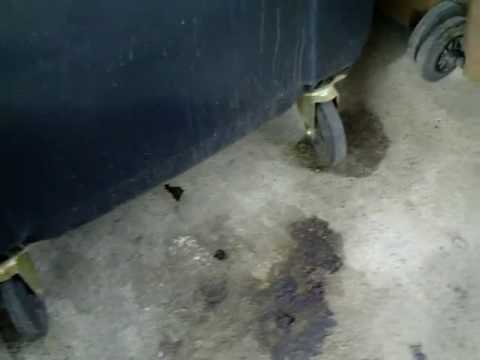 From Derailment to  Headshot - Resurrezione e Gioia