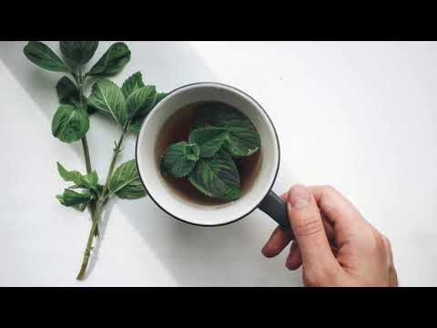 Gjethe menteje për të përmirësuar funksionet e trurit, sistemin tretës dhe ekuilibrat hormonalë