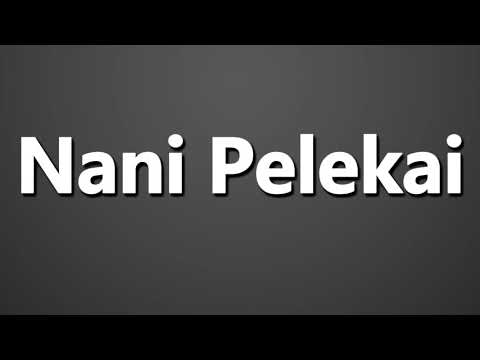 How to Pronounce Nani Pelekai