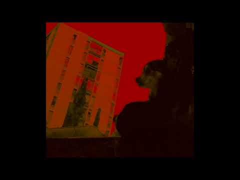 LeftyBoy.Z-_- Mission lost (Videasko#2)