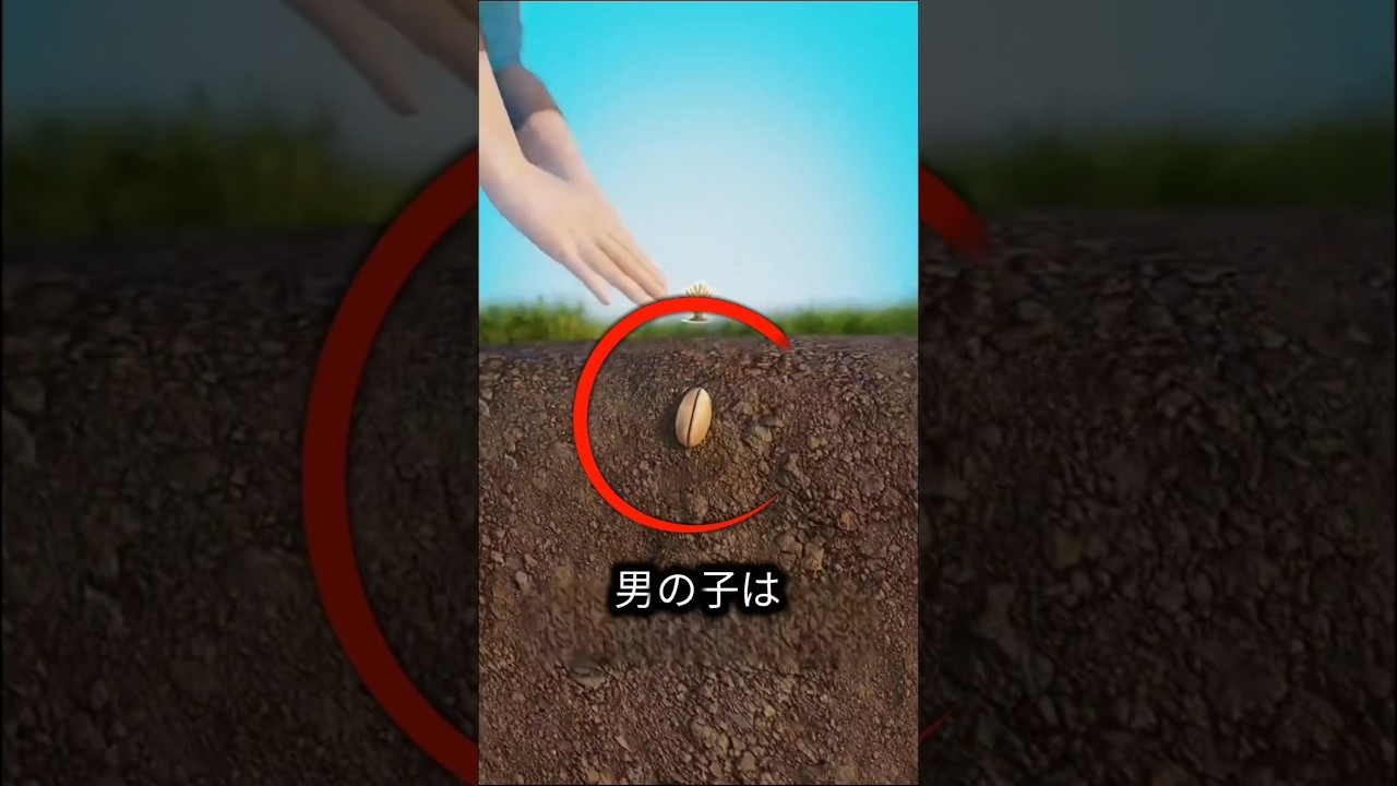 もし男の子が料理を一から作ったら何ができるのでしょうか？