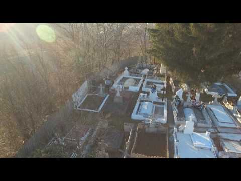 Dalhauti dragostea mea