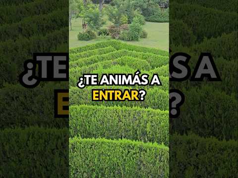 ¿Te animas a perderte en Traslasierra? #shorts