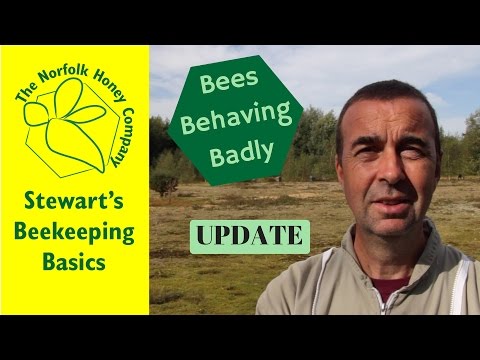 Beekeeping Basics - Bees Behaving Badly - Update - The Norfolk Honey Co.