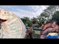 ​Spear Net Fishing In Crocodile Waters Extreme Summer Catch And Cook