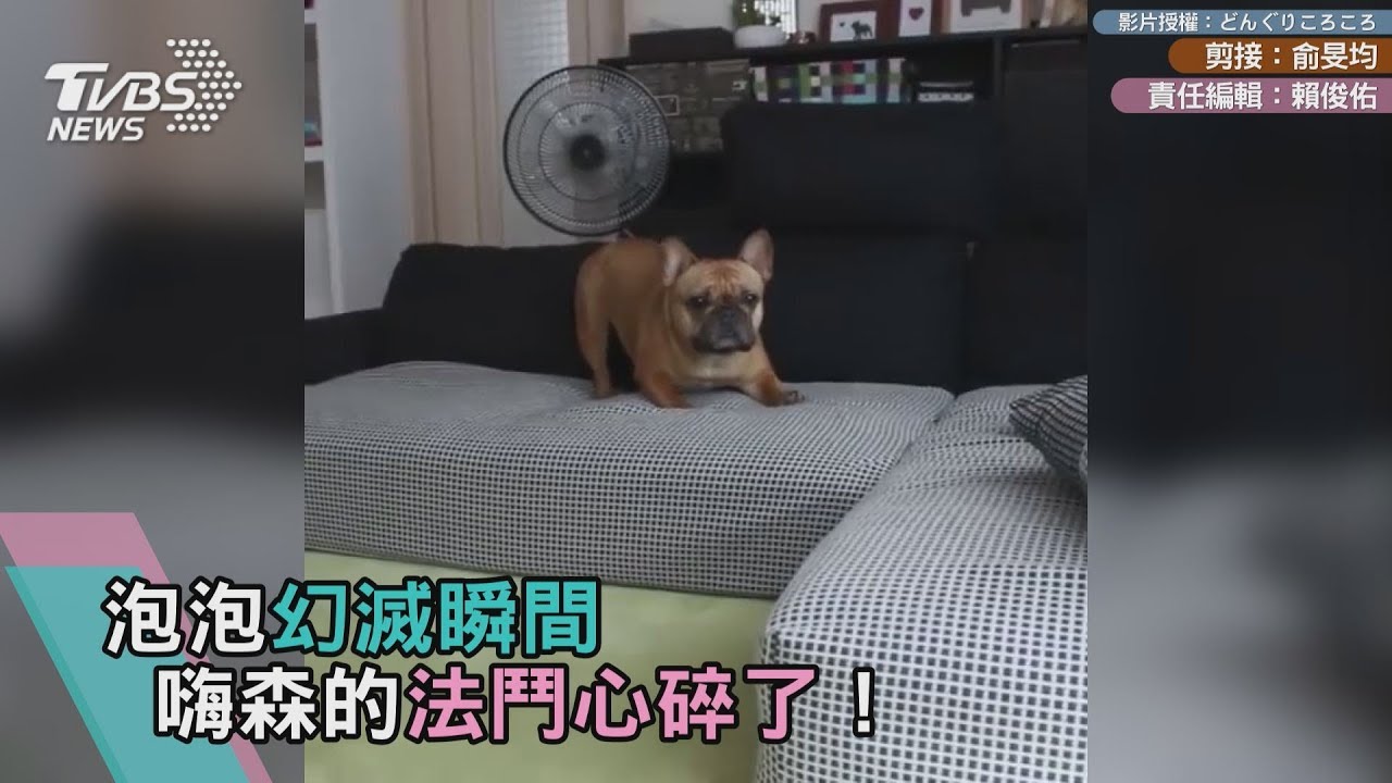 泡泡幻滅瞬間　嗨森的法鬥心碎了！