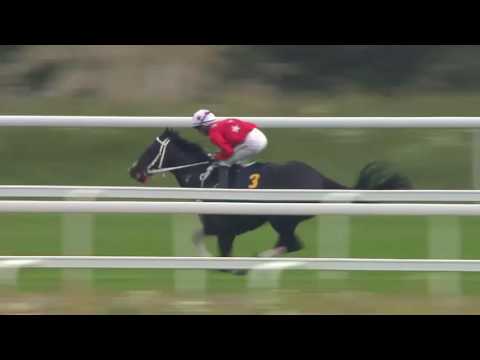 2016.09.11 Lanwades Stud Stakes (SWE) - Arabda