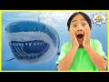 Learn about Shark Facts for Kids with Ryan!