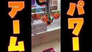 ゲームセンターのアームパワーの弱さがひどすぎた