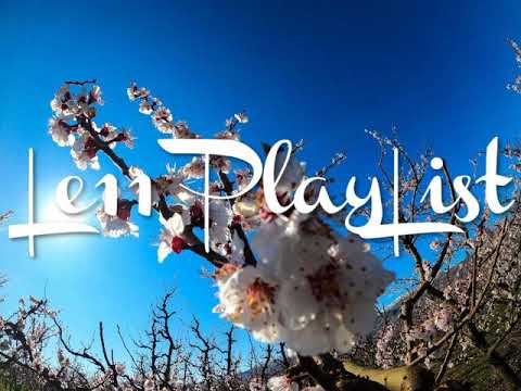 DJ ZILVA x IFO JAM-CAR SEAT [ MOOMBAH CHILL] 2020