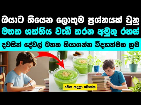 මතක ශක්තිය තියුනු කරගන්න කවුරුත් නොකිව්ව රහස් | Do These to Instantly Boost Your Memory