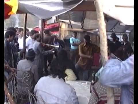 NIGHTLOSERS - Hey Good Lookin' // Cinste Lor 2013 //