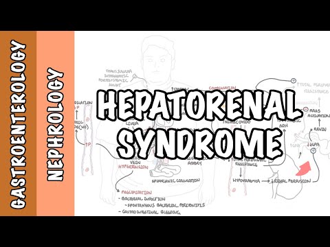 Le syndrome hépatorénal (SHR) - causes, physiopathologie, mécanisme 