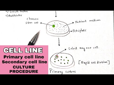 Tissue engineering Technique Procedure Bio science