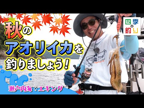 瀬戸内海でエギング　秋のアオリイカを釣りましょう！（四季の釣り/2023年9月29日放送）