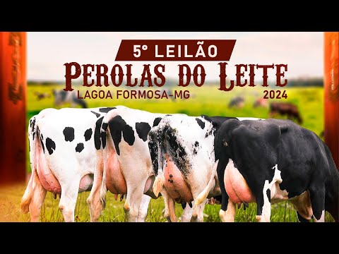 5º LEILÃO PEROLAS DO LEITE - LAGOA FORMOSA MG