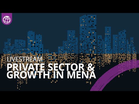 Private Industry: The Engine of Global Economy | Golden Age