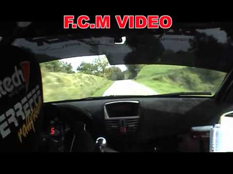 CameraCar Rally Team 971 2010 Mauri-Riva Peugeot 207 S2000