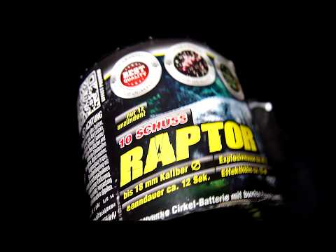 Raptor by Norma/Lesli | €4 Firework Battery | New Year's Eve 2024/25 Test