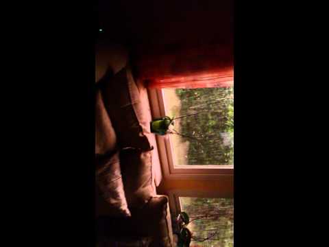 Svensk Midsommar 2014