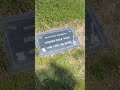 #dboon #minutemen #grave #punk #shorts