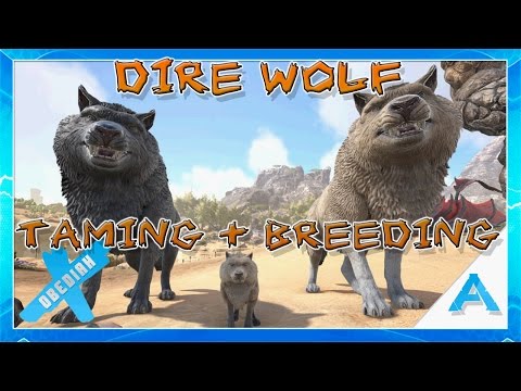 Ark: Scorched Earth: EP12: DIRE WOLF Taming and Breeding!!!