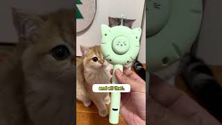 Download lagu I Tried This VIRAL Cat Brush ✨✨ mp3