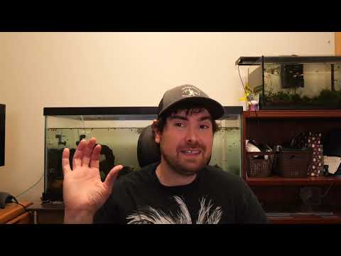 Getting Yellow Leaves On Autoflowers? Auto Q & A