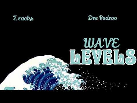T-racks “Wave Levels” (feat. Dre Pedroo)