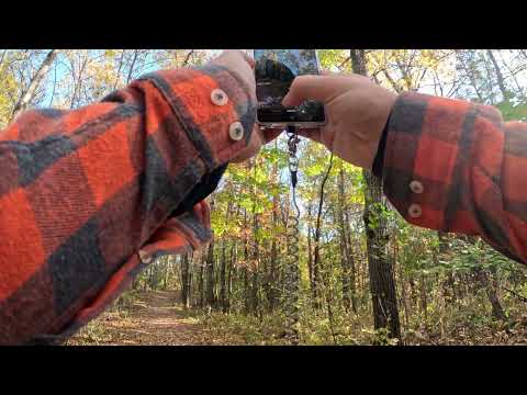 Perrot Park Brady Bluff Trail 10/25 (alternative path part 1)