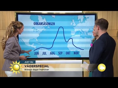 Väderspecial - Orkansäsongen är här - Nyhetsmorgon (TV4)
