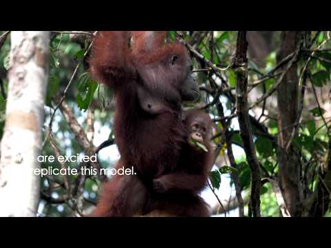 COVID-19 Emergency Response