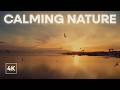 Calming Nature 4K 2 Hours Handpan Music Malte Marten Changeofcolours