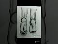 Artist Annu Maurya Skach Drawing