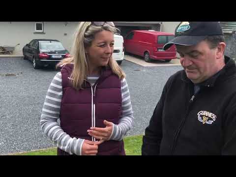 Star Sports Greyhound Derby: BRAVEHEART BOBBY