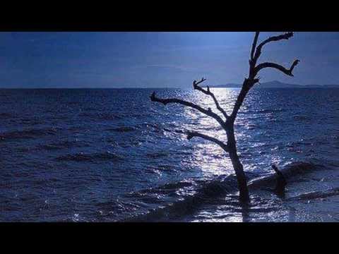 Além do Olhar-Ivo Pessoa