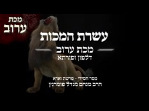 עשרת המכות - מסר חסידי - פרשת וארא תשפ"ב