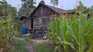 Download lagu The morning atmosphere of Situnggung hamlet‼️a very cold and quiet mountain village mp3