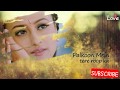 STATUS Palko Me Tere Roop Ka Meri Duniya Hai VASTAV Sonu Nigam