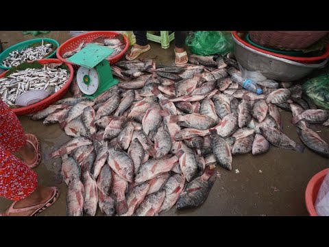 Walk Around Fish & Sea Food Market @Prek Phnov Bridge - Morning Fish Market Scene in Town 2022