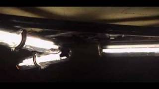 Catch Me If You Can - Ana Johnsson