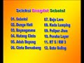Opening To Seleksi Dangdut Sebotol 2007 Malaysia VCD