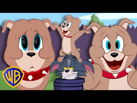Tyke Takeover! 🐶 | Tom & Jerry @wbkids