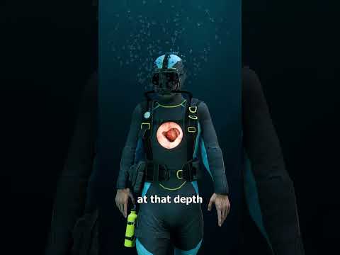 Why Scientists Put Pigs In Diving Suits 😨