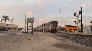 Amtrak Surfliner rolls Through Vineyard Crossings 2/28/25 #amtrak #catch #hornshow #train