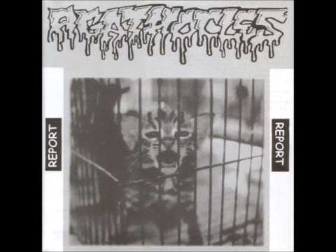 Agathocles - About A Fascist