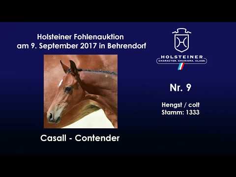 Nr. 9 v. Casall - Contender