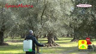 CASOTTI - Lotta Biologica alla Mosca dell'Olivo e della Frutta