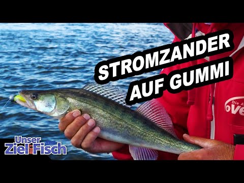 At the BUHNENKOPF for ZANDER - Fishing school with rubber on the STREAM - Our goal is fish with J...